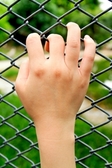 hands-on-wire-fence